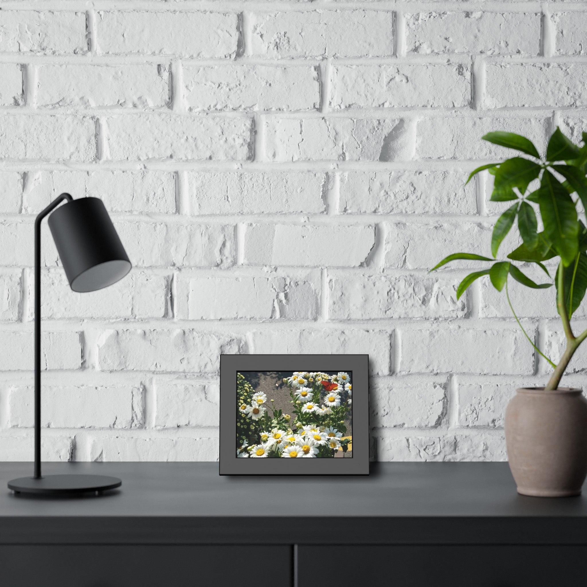 The Visiting Ember - Butterfly and Daisy Fine Art Framed Photography