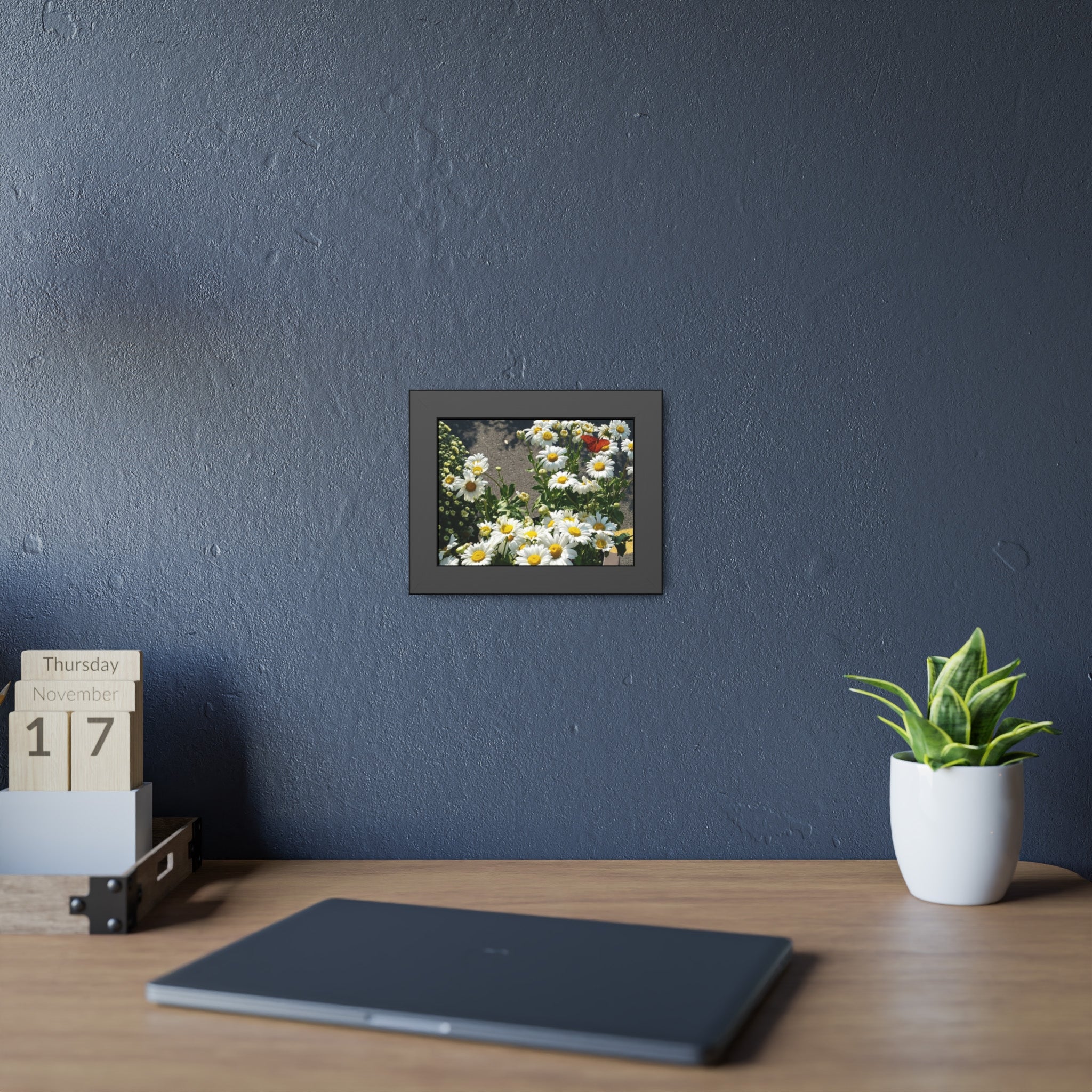 The Visiting Ember - Butterfly and Daisy Fine Art Framed Photography