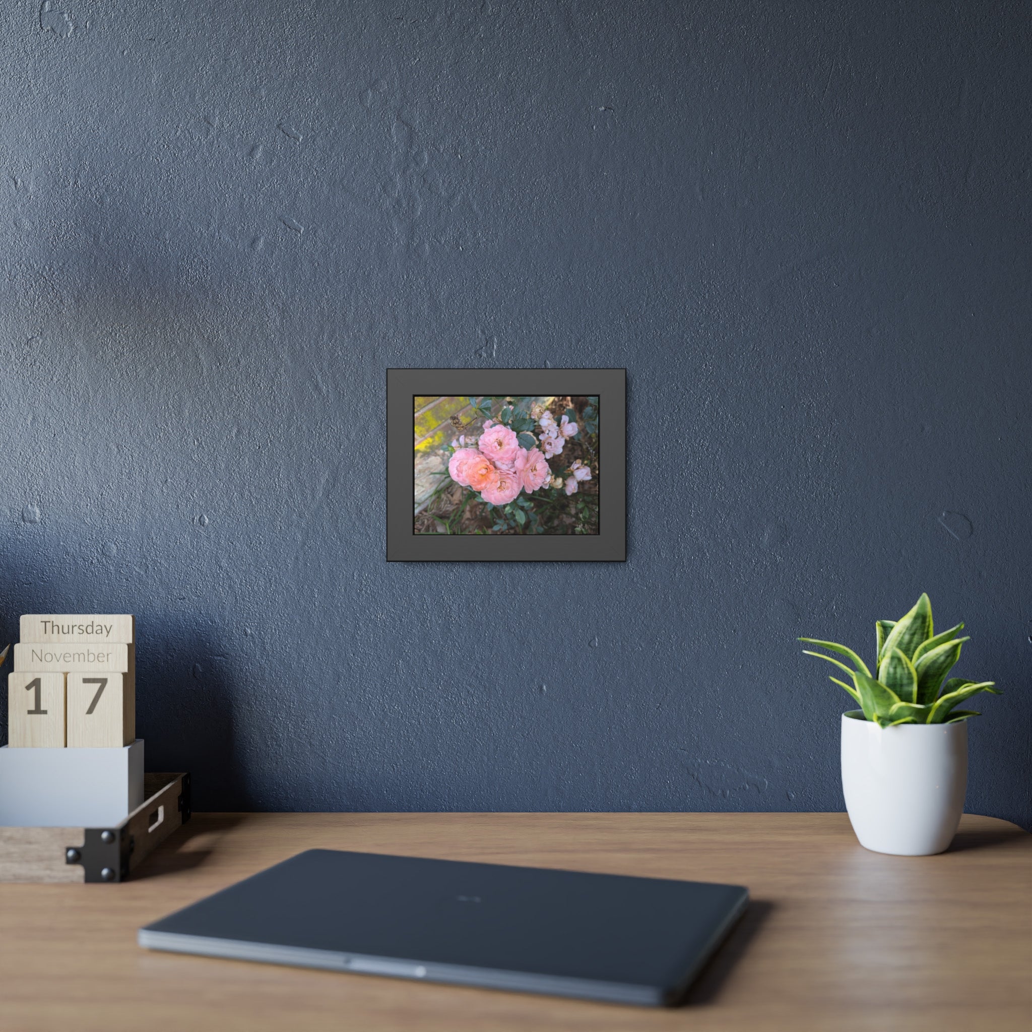 Bricks and Blooms - Historic Garden Rose Fine Art Framed Photography