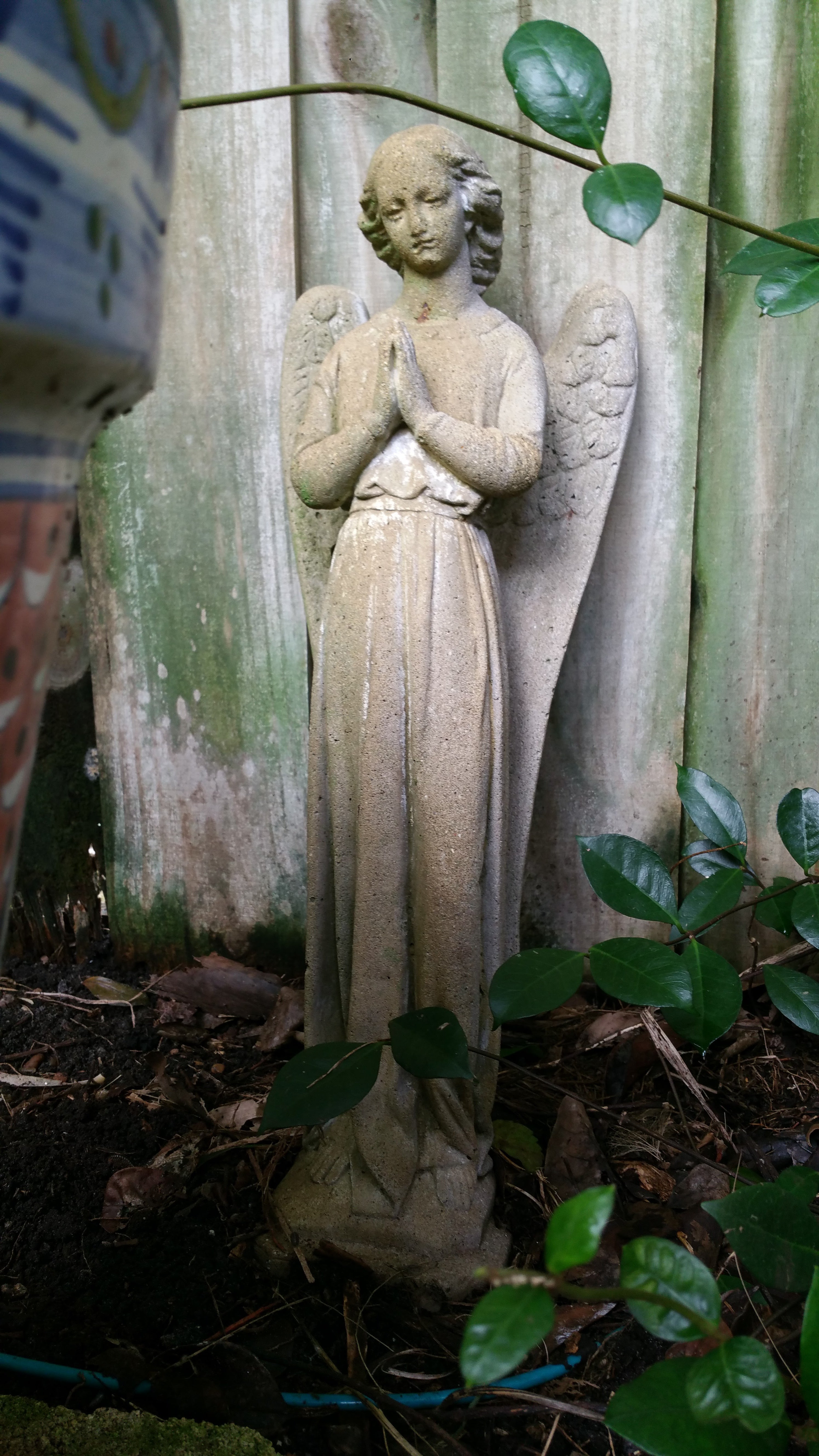 Garden Angel Digital Download